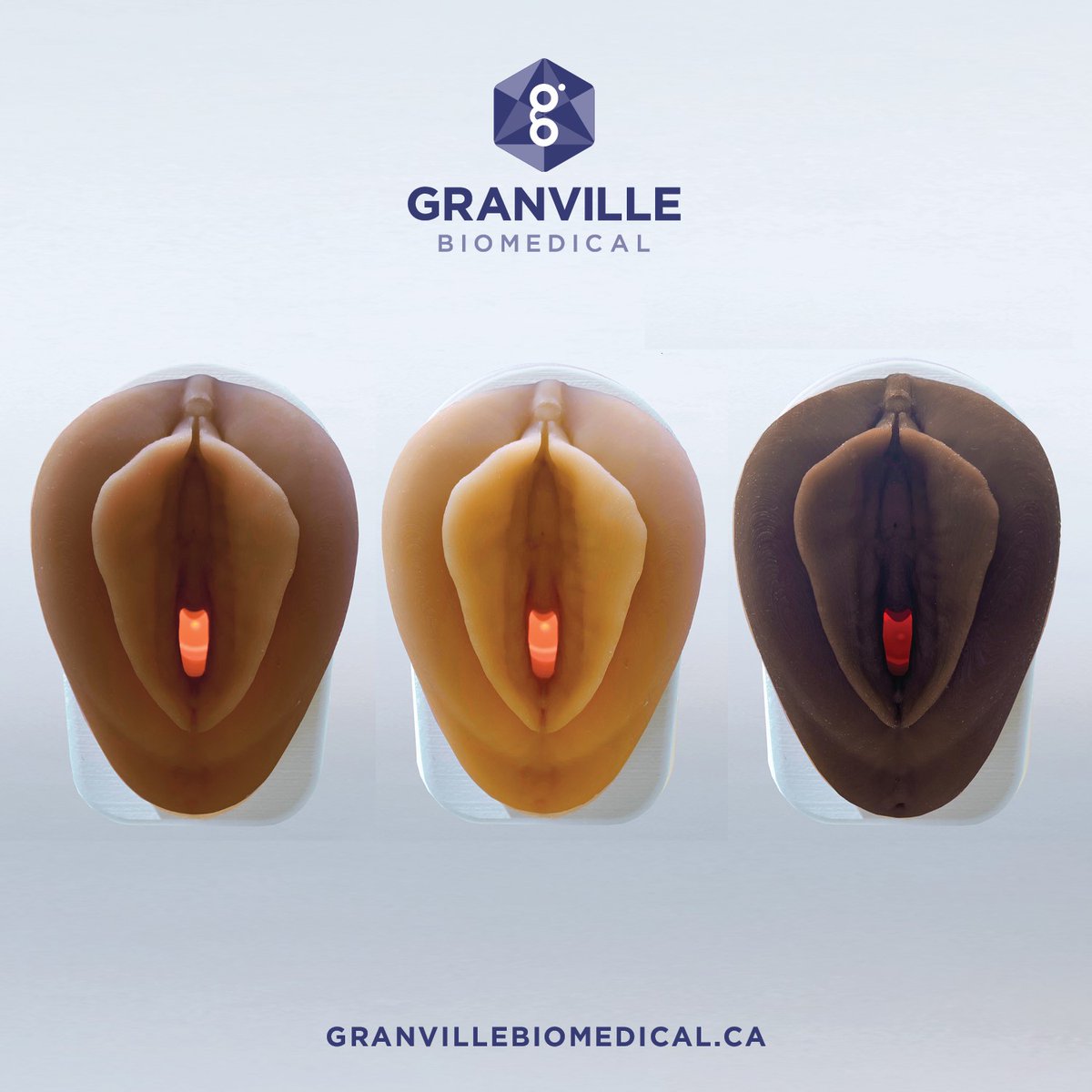 GranvilleBiomedical (@granvillebiomed) on Twitter photo Big News! 🎉 Granville is excited to share that our mass manufacturing is now underway! We are accepting new international distributors and are ready to fulfill your large volume orders. DM us or email info@granvillebiomedical.ca for more info. #WomensHealth #PelvicHealth Big News! 🎉 Granville is excited to share that our mass manufacturing is now underway! We are accepting new international distributors and are ready to fulfill your large volume orders. DM us or email info@granvillebiomedical.ca for more info. #WomensHealth #PelvicHealth