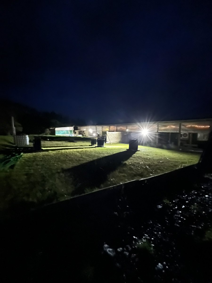 A.C.E After Dark pt1 <a href="/acetargetsports/">A.C.E Target Sports & A.C.E Academy</a> @Blazespage <a href="/ColliesandCakes/">ColliesandCakes 🏴󠁧󠁢󠁳󠁣󠁴󠁿🦅</a>