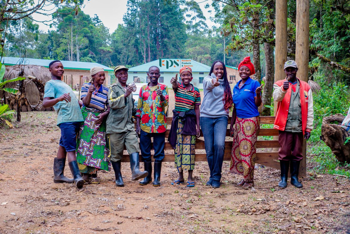 Krockdeco's tweet photo. Activités de récolte et de plantation de calebasses dans la Kibira
L’entreprise Kioka ,dans le cadre de sa participation au projet « Kibira Sanctuaire de Paix et de Conservation », nous a confié la noble tache de travailler avec les communautés  du site de Rwegura . https://t.co/evE5E2ayqQ