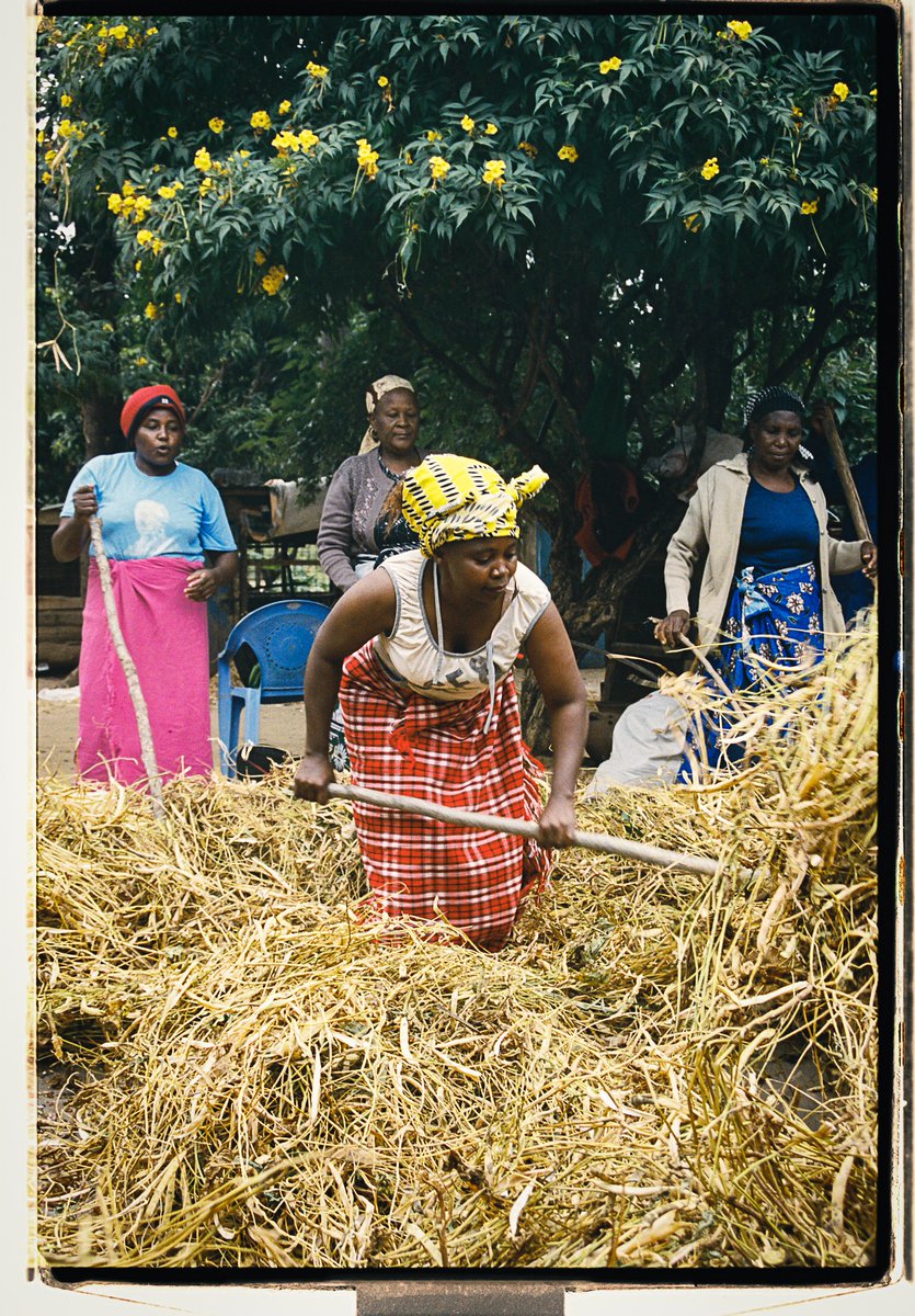 WhatTookYouSoLong tweet media