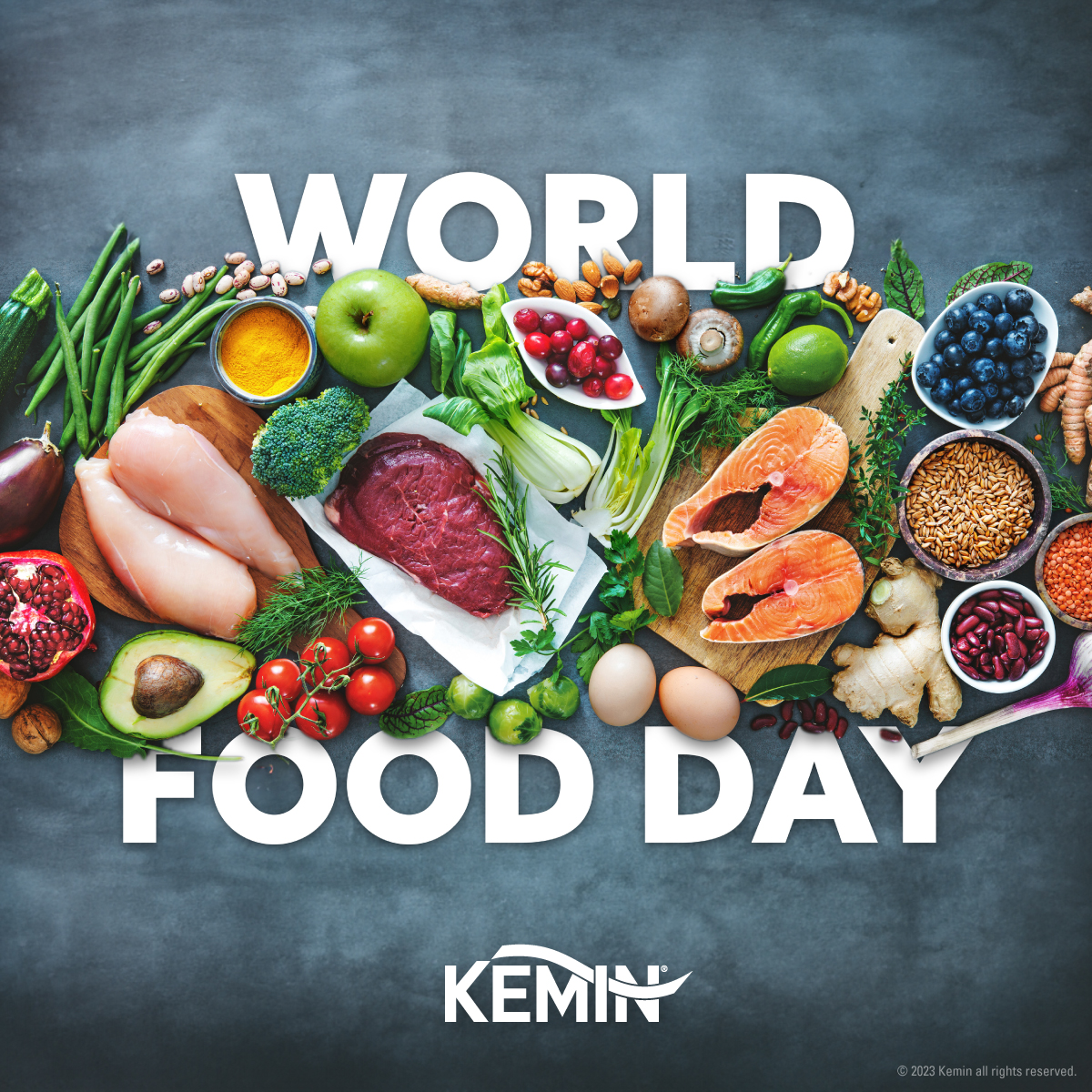 Kemin's commitment to protecting the global food supply chain goes beyond our business to our partnership with <a href="/WFP/">World Food Programme</a>, which we help to ensure much needed food is ready when crises occur. On #WorldFoodDay, we’re grateful  and proud to be part of #WFP's mission to end world hunger.