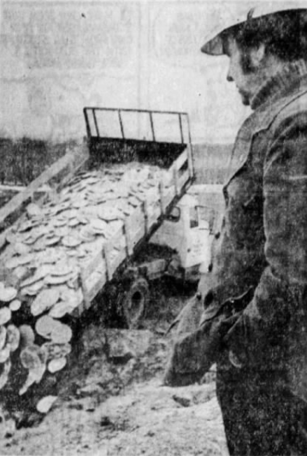 Josh Trebach, MD tweet media