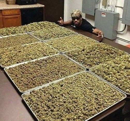 ️Weed God tweet media