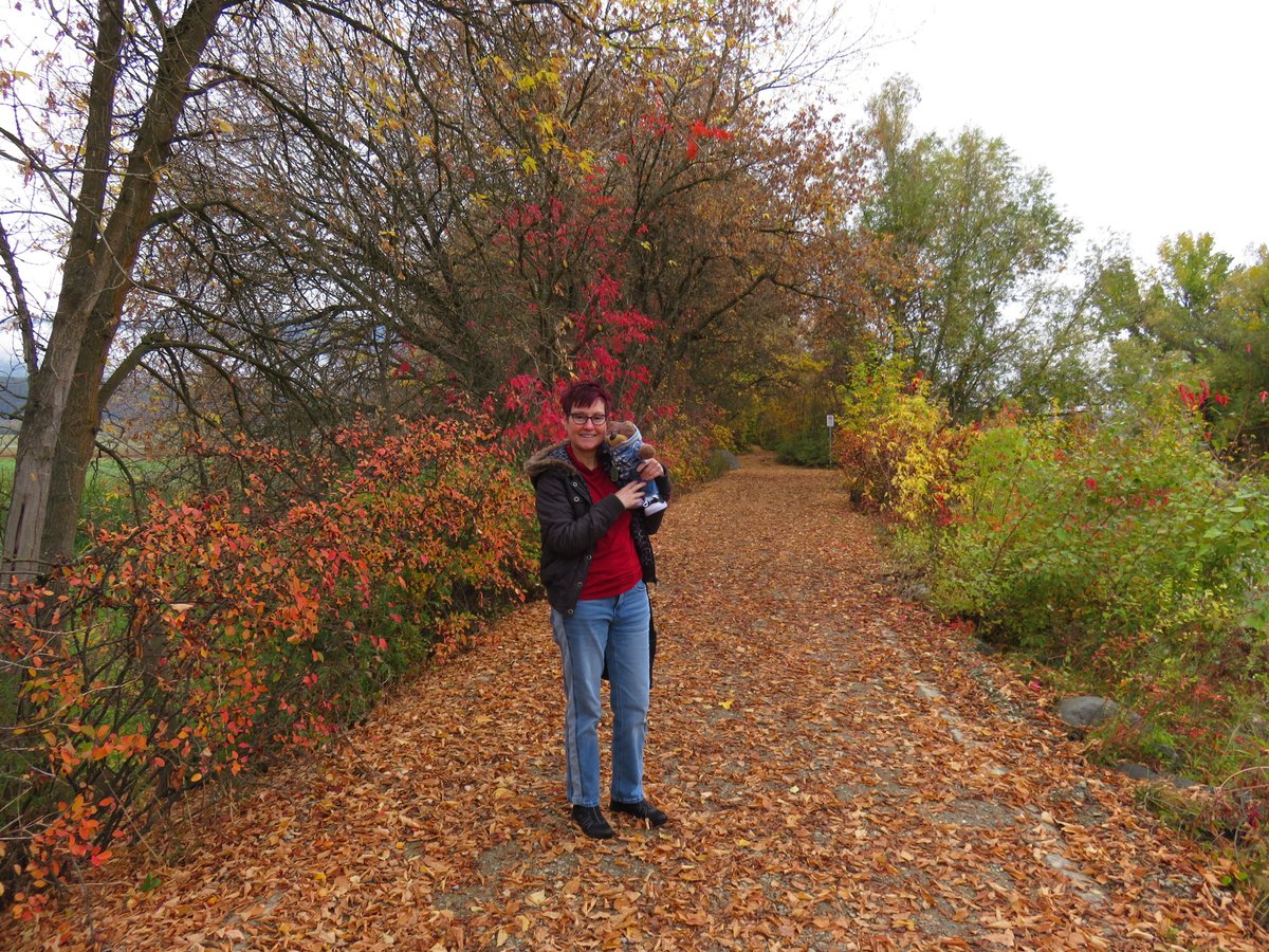 Autumnal with #celebrityauthorbear @TeddyTedaloo 
#authors #writers #authorscommunity #WritingCommunity #Autumn