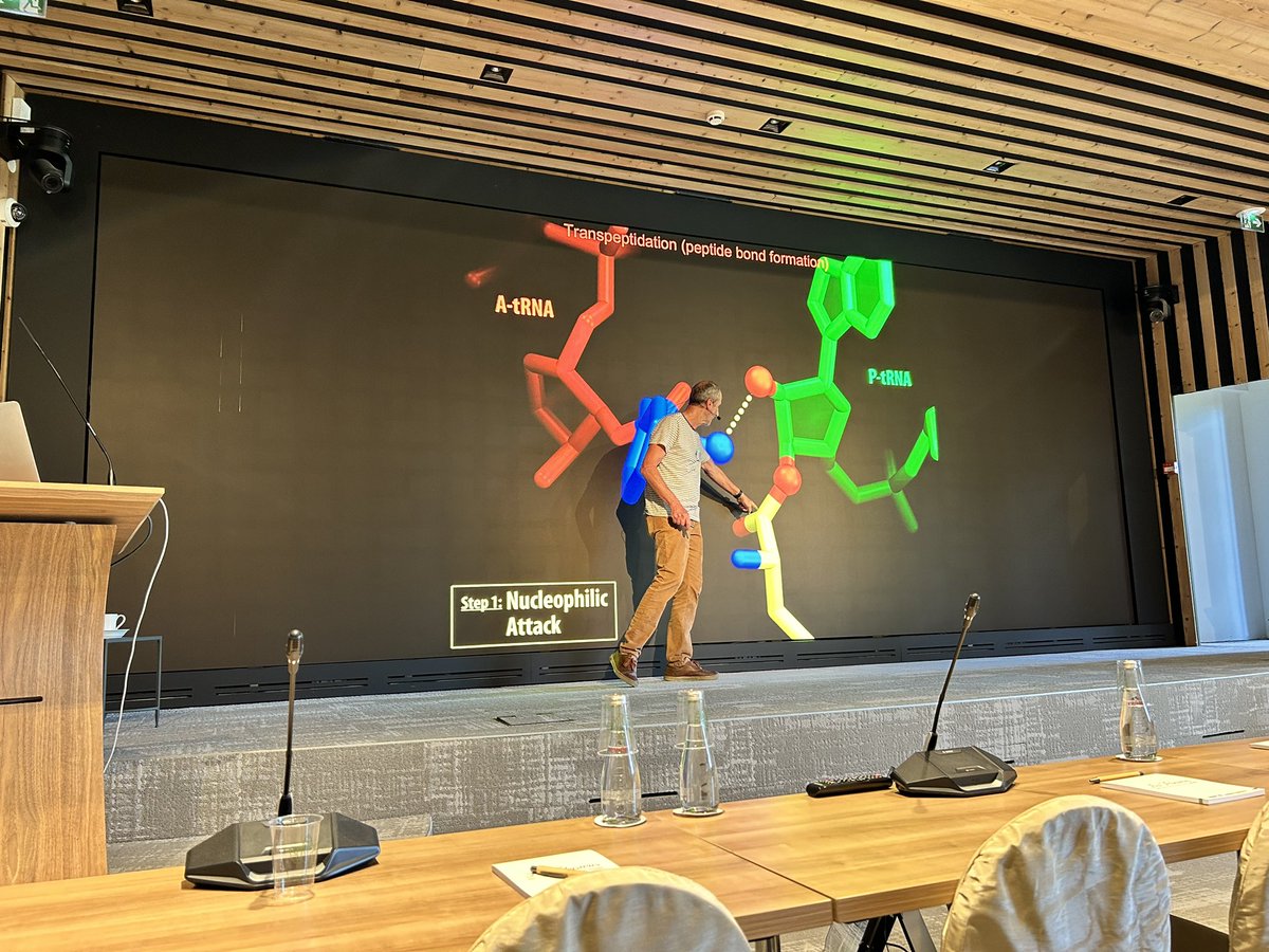 Had a wonderful time at ICARe! Thanks to the organisers and all attendees for such a fabulous time and stimulating science.