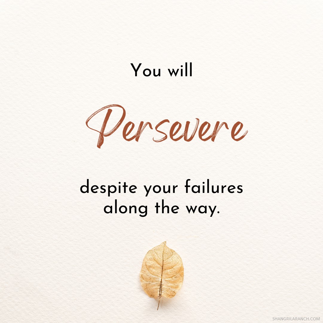 SLRNude's tweet photo. Hold your head high, friends, and keep moving forward! You'll endure despite your failures because failure is not the opposite of success; it's part of it. 🏆 #NeverGiveUp #SuccessMindset #PerseveranceIsKey 🔑 https://t.co/jDtUoMBwUV https://t.co/oom1Kjm3Z7