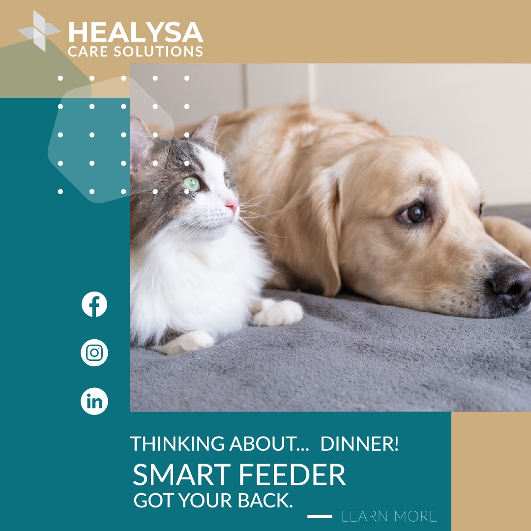 HealysaCare's tweet photo. Pets, especially dogs and cats, can be wonderful companions for older adults. They offer love, friendship, and a sense of purpose. Research has shown that having a pet can bring many positive benefits to elderly people. 

Our smart kibble dispenser for audio and video-connecte... https://t.co/WhwF975rUm