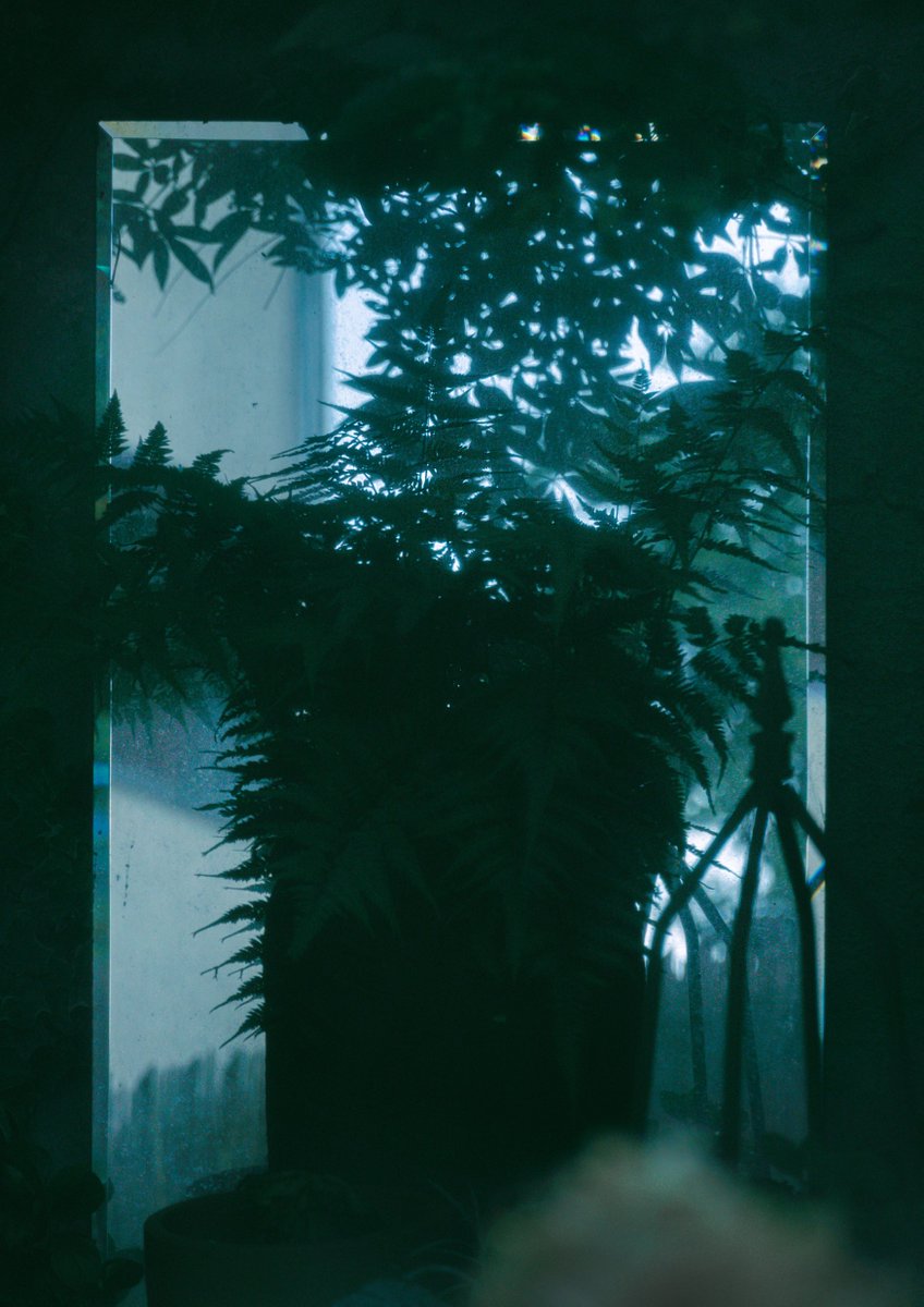 justusvisual's tweet photo. we cant stay here https://t.co/nBXFU6aUQ3