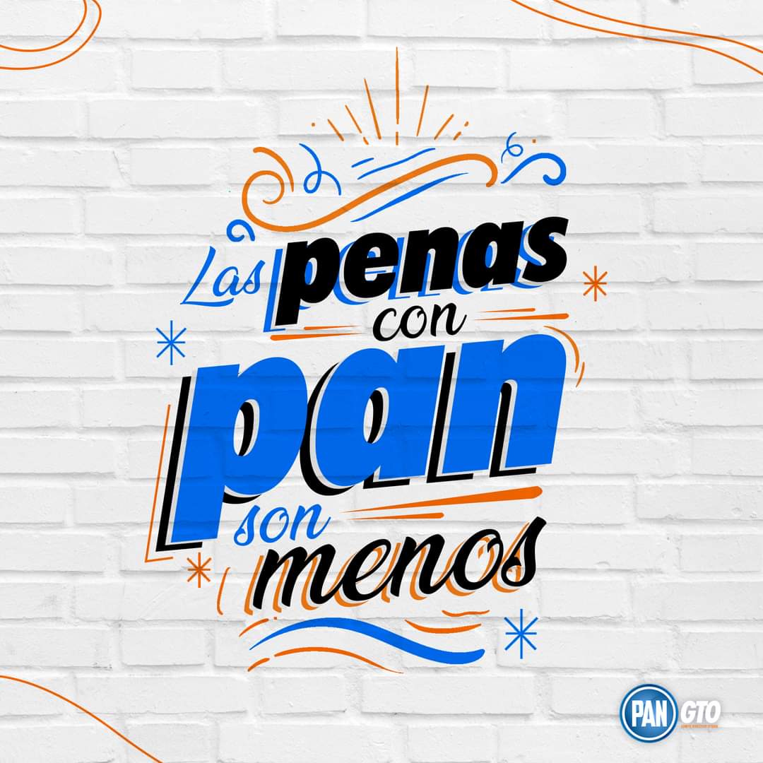 CDM PAN San Miguel de Allende tweet media