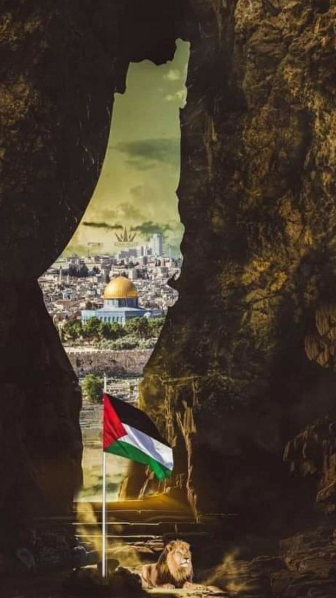 A Palestina não é O Hamas e o mundo precisa fazer algo hoje em favor do povo da Palestina.