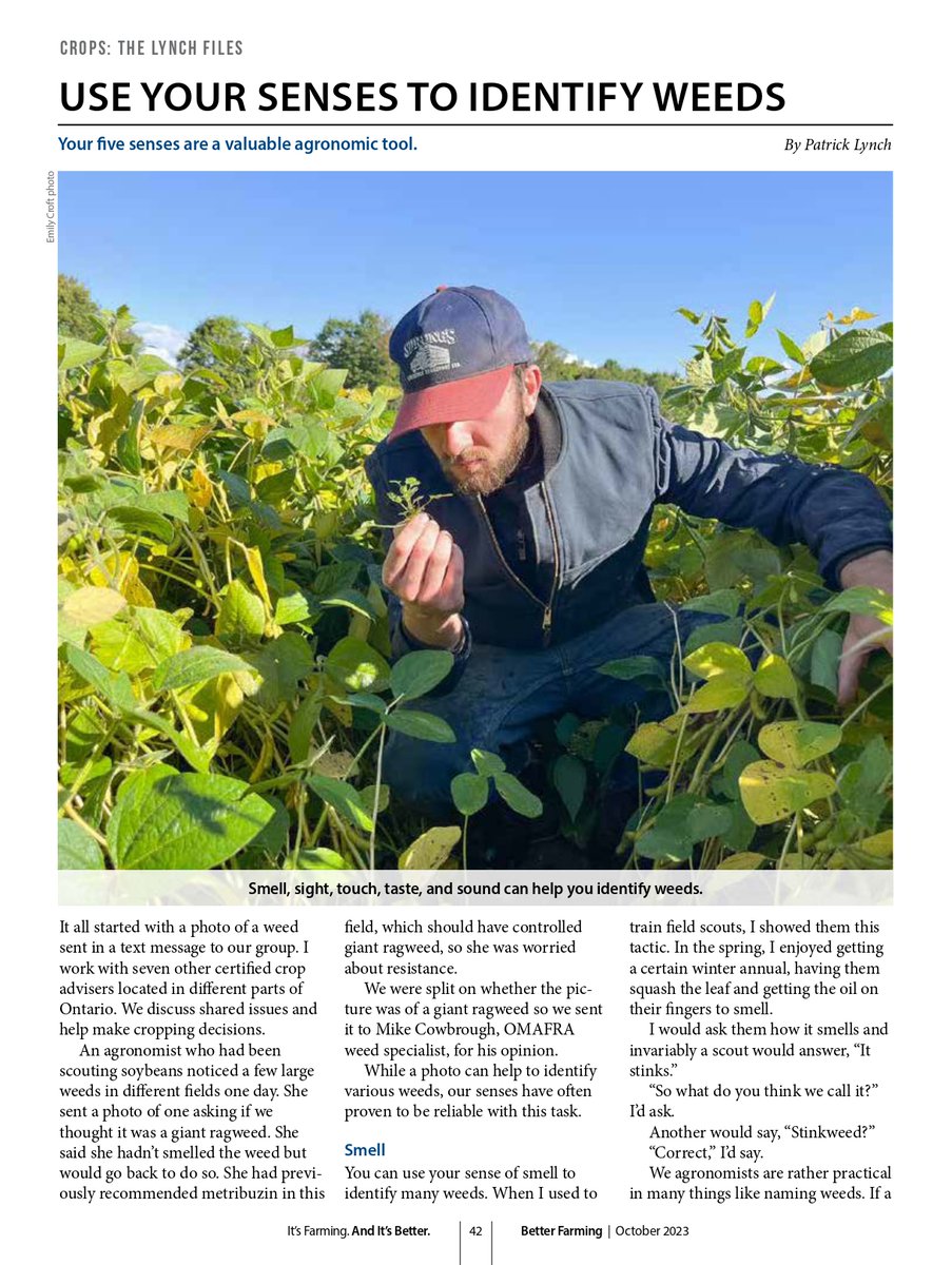 How many senses do you use to detect weeds?

<a href="/PatrickLynch13/">Patrick Lynch CCA ON</a> shares how you can use each of your senses to keep your fields cleaner in this month's magazine.

betterfarming.com/flippingbook/b…