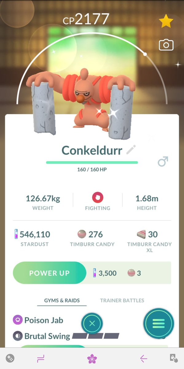 ObsidianKarasu's tweet photo. Caught a shiny Timburr yesterday for Community Day as well as a shiny Bellsprout after the event, plus I made it to level 42! 🌟🪵🌱

#ShinyPokemon #PokemonGO #TimburrCommunityDay https://t.co/m3LSfrTzaJ