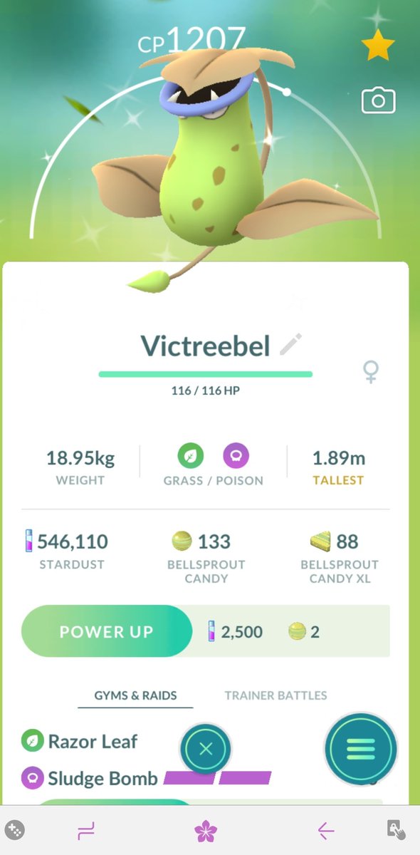 ObsidianKarasu's tweet photo. Caught a shiny Timburr yesterday for Community Day as well as a shiny Bellsprout after the event, plus I made it to level 42! 🌟🪵🌱

#ShinyPokemon #PokemonGO #TimburrCommunityDay https://t.co/m3LSfrTzaJ