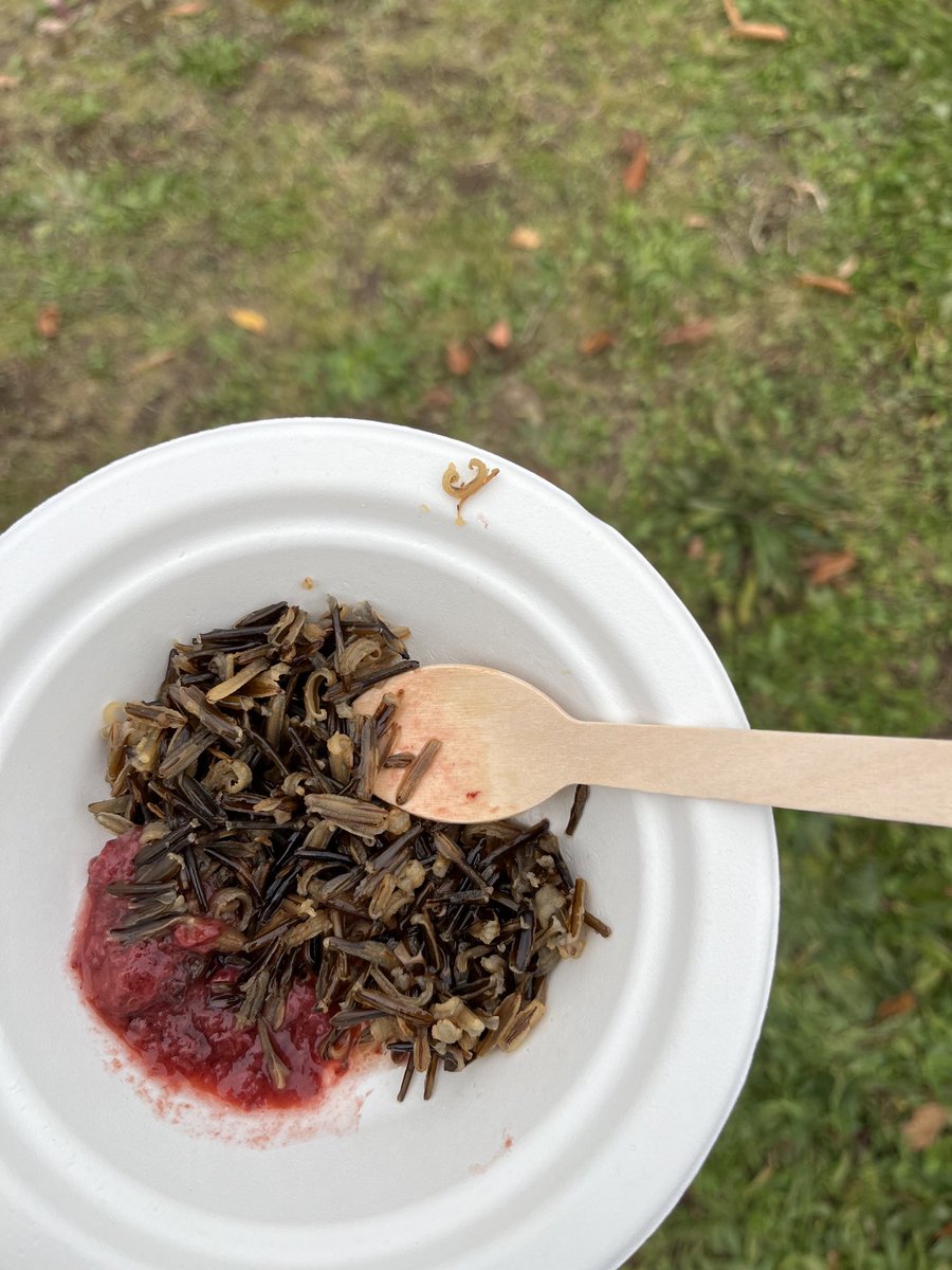 Our Indigenous Language class experienced a wonderful afternoon learning about harvesting wild rice from the water and then how to properly prepare it for eating. The end result was delicious! Miigwech Black Duck Wild Rice in Curve Lake. <a href="/PVNCCDSB/">PVNCCDSB</a> #PVNCinspires