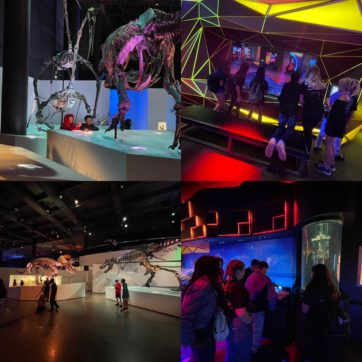 Kpangarakis_HTX's tweet photo. @HumbleISD_KMS 8th Grade AVID had awesome tour guides @RiceUniversity and had so much fun at The Museum of Natural Science! #KMSCougarPride #HumbleISD_AVID #KMSAVID https://t.co/e7NjqvkoNG