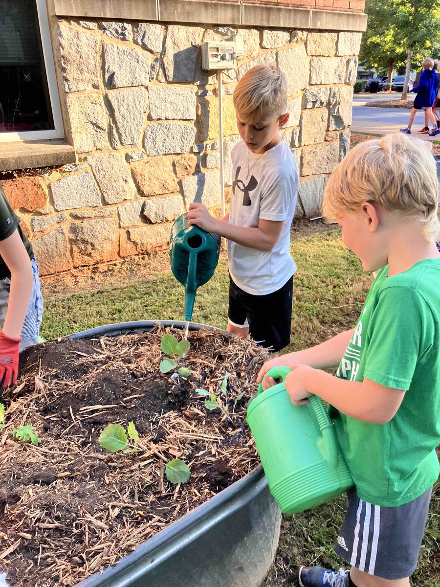Here's one place to see your support at work: at our schools! F.AVE's garden will bloom soon, thanks to a DEF teacher grant! You can check out all of our impact stories here: decatureducationfoundation.org/impact-stories #forourkids #decaturga #allindecatur #teachergrants #schoolgarden #FAVE