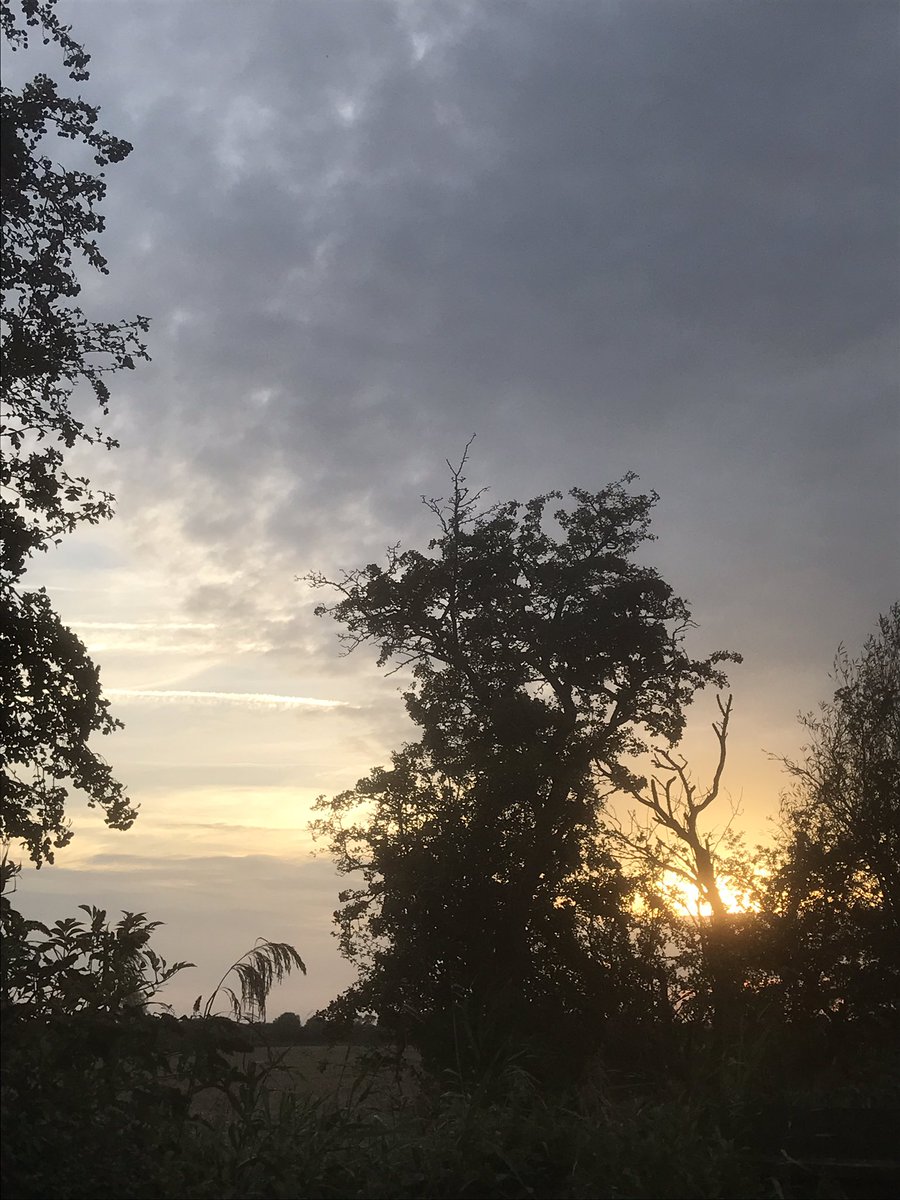 Wishing everyone a peaceful night. Sweet dreams…😄