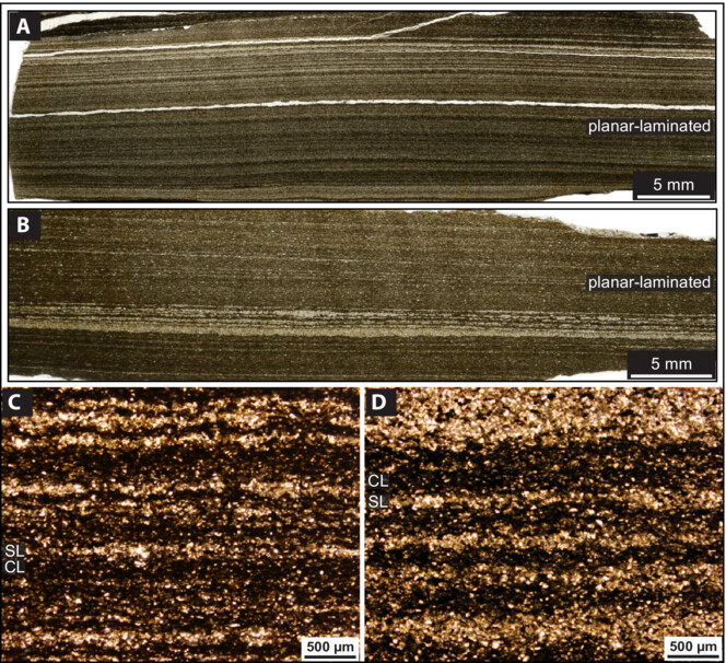 The Depositional Record tweet media