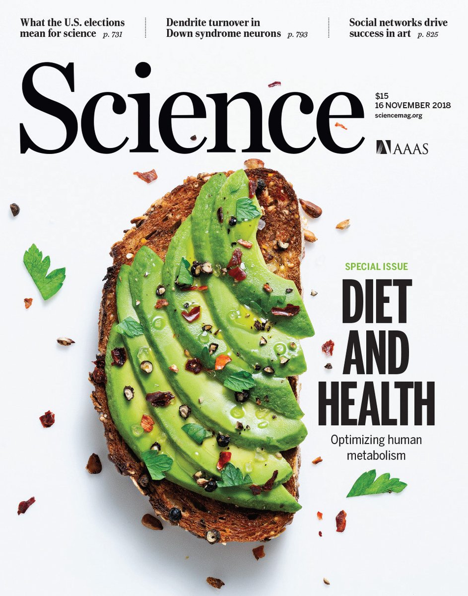 When it comes to avocado toast, millennials may be onto something.

On #WorldFoodDay, explore a 2018 special issue of Science on defining a healthy diet that can sustain a strong body and protect against age-associated diseases. scim.ag/4tI