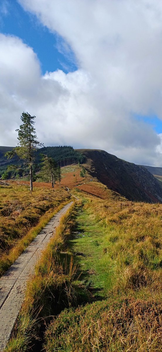 drugelius's tweet photo. Sunny October. 
📍Spinc &amp; Glenealo Valley, Co. Wicklow 

#wicklow #glenealovalley #spinc
#hikingphotography #hikingtrails
#glendalough #mountains #hike
#outdoor #outdooradventure https://t.co/OVQ7M346FX