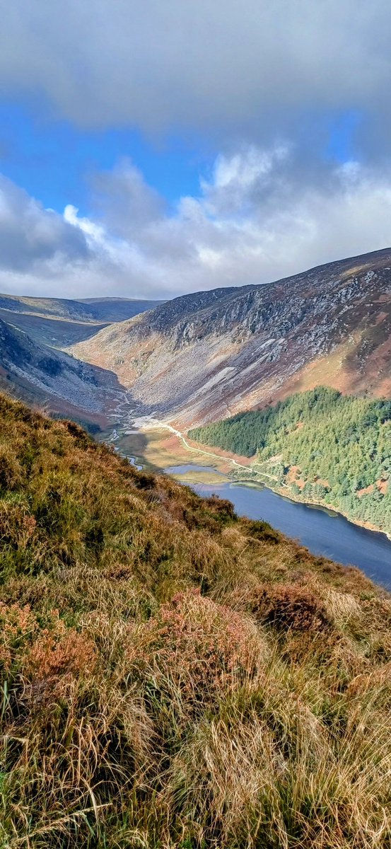 drugelius's tweet photo. Sunny October. 
📍Spinc &amp; Glenealo Valley, Co. Wicklow 

#wicklow #glenealovalley #spinc
#hikingphotography #hikingtrails
#glendalough #mountains #hike
#outdoor #outdooradventure https://t.co/OVQ7M346FX