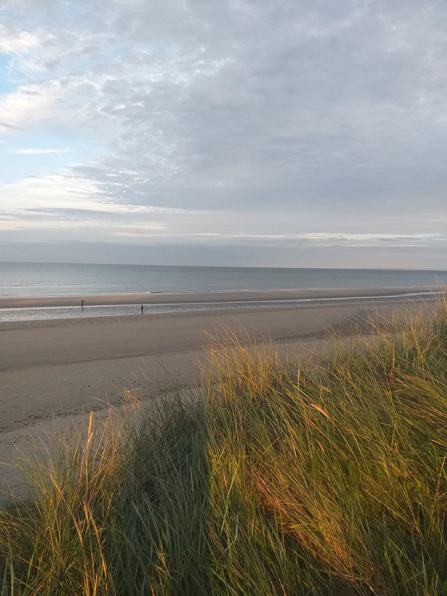 Il faisait froid
Entre les joncs
Le vent
Sifflait sa plainte 
La plage pleurait 
Son trop absent
Il est des jours
Où la tristesse
Recouvre 
Jusqu'aux souvenirs.

#Poésie