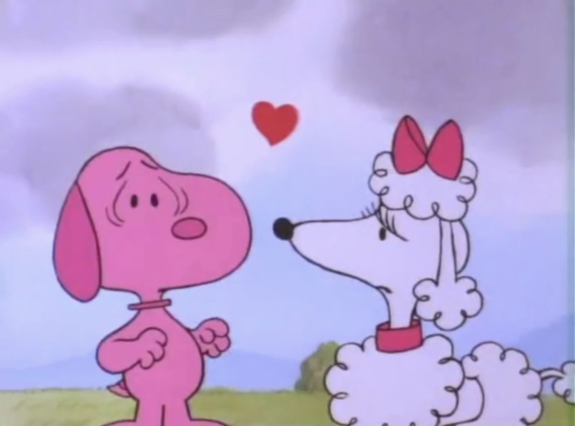 gir1genius's tweet photo. snoopy image of the day https://t.co/PT5BcYrXJH