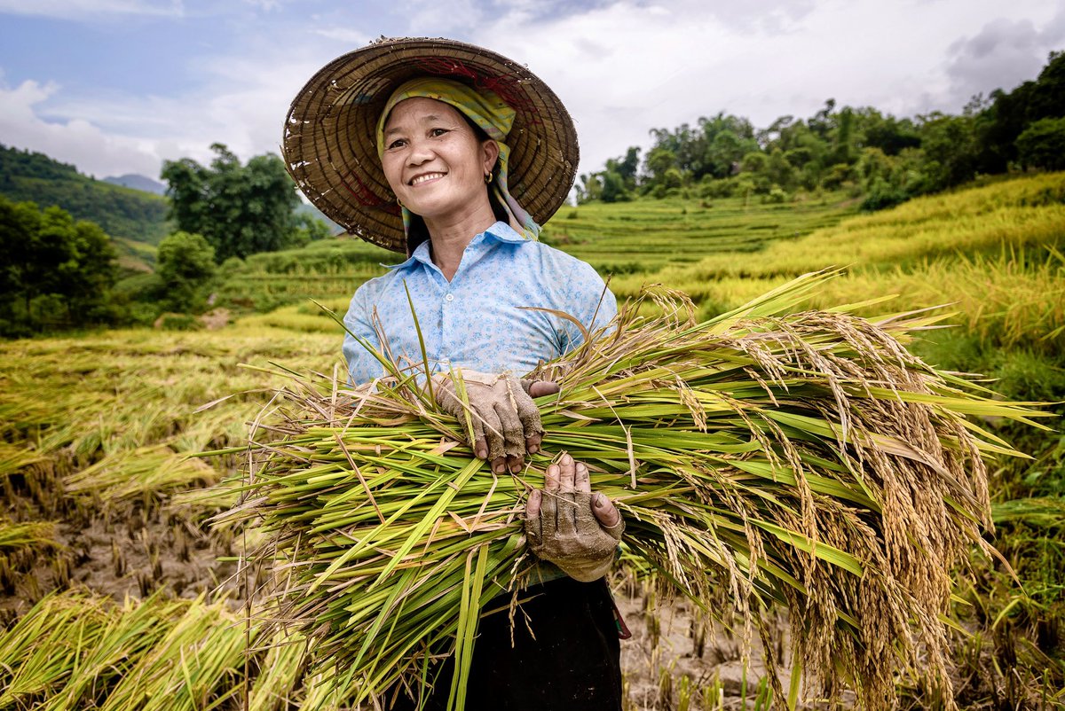 Vietnam, Sapa <a href="/NikonEurope/">NikonEurope</a> <a href="/NikonProEurope/">Nikon Pro</a> <a href="/NikonatGrays/">nikonatgrays</a> <a href="/nikonians/">The Nikon Community</a> <a href="/CamaraNikon/">#Nikon #Fotografía</a> <a href="/viaggiepaesaggi/">Viaggi e Paesaggi</a> <a href="/tourismvietnam/">The Vietnam Tourism</a> <a href="/vntourismboard/">Vietnam Tourism Board</a> <a href="/vietnamtour/">Vietnam</a> <a href="/vntourism/">Vietnam Tourism</a> #vietnam #sapa #hanoi #rice