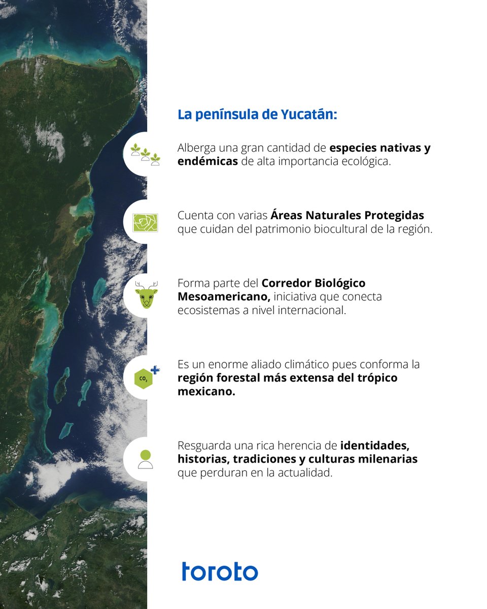 🌎 Gran parte de nuestros proyectos de secuestro de carbono forestal y conservación de la naturaleza están en el sureste mexicano, pues reconocemos la importancia de resguardar lo que la región ofrece. Conoce nuestros proyectos, en nuestra página web 👉 bit.ly/36Snjsf