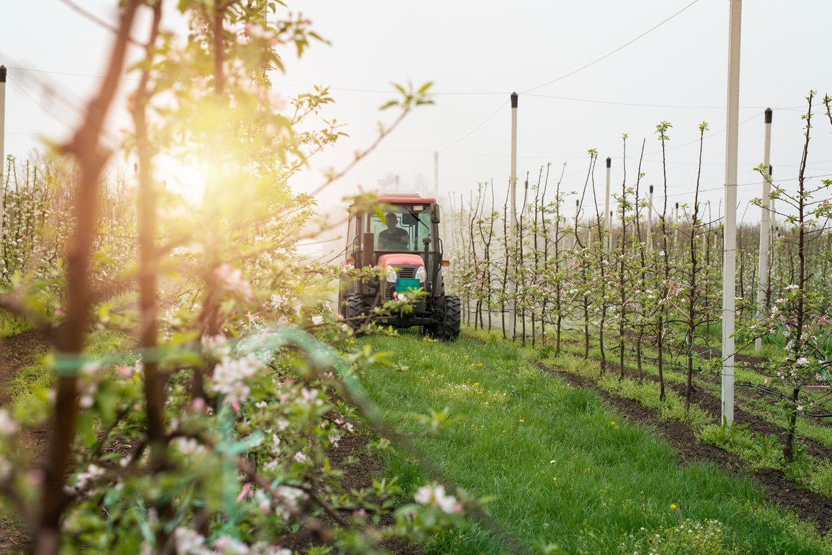 UNDP's tweet photo. DYK a staggering US$1.8 trillion invested annually in food systems is allocated to environmentally harmful subsidies?

This #WorldFoodDay, see how @SdgImpact and @GoodFoodFinance are creating a guide for more sustainable investments in food value chains. https://t.co/Yut7Hybnpv https://t.co/qzO0cw6Tr0