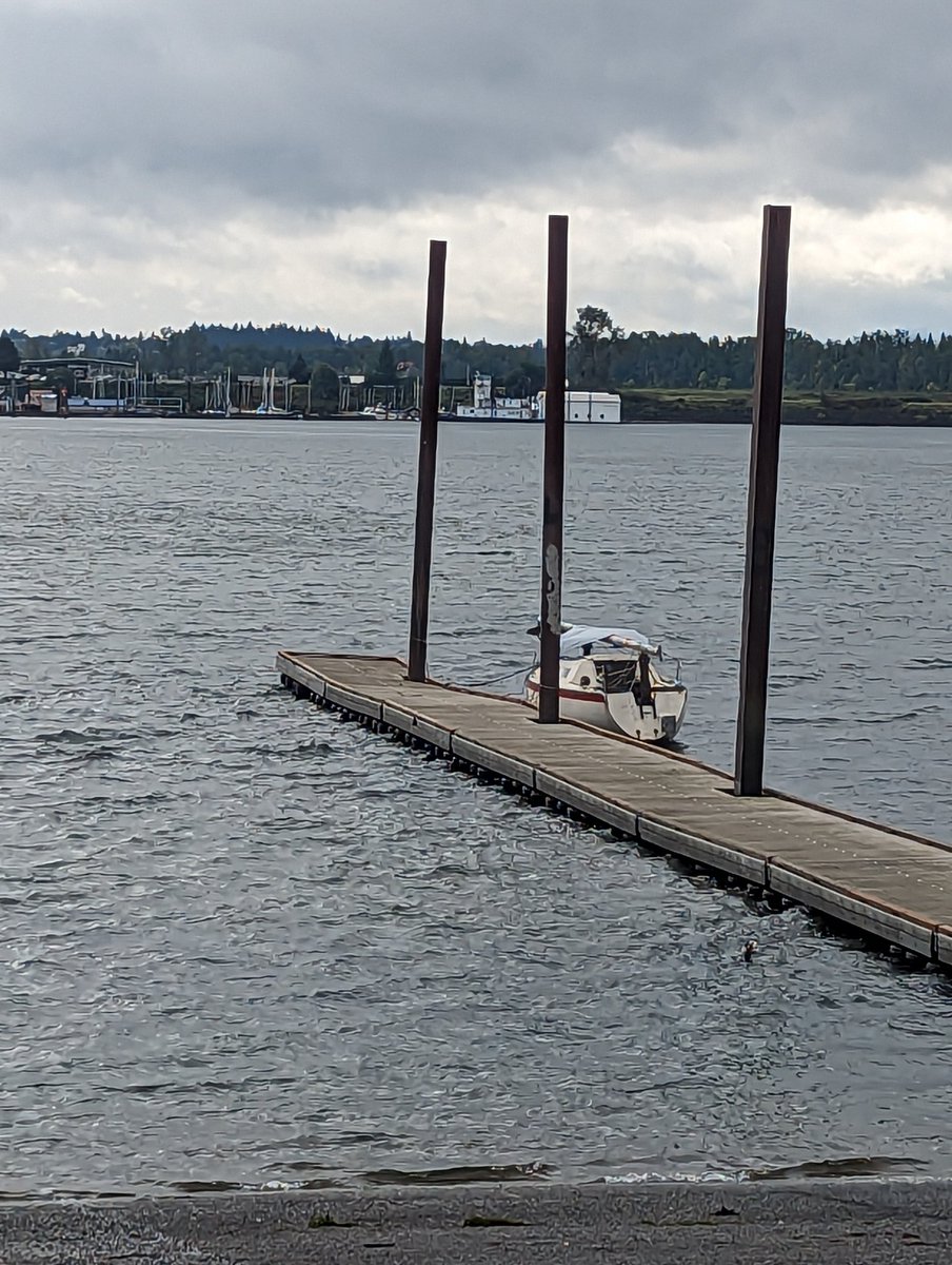 williamlongnecker tweet media