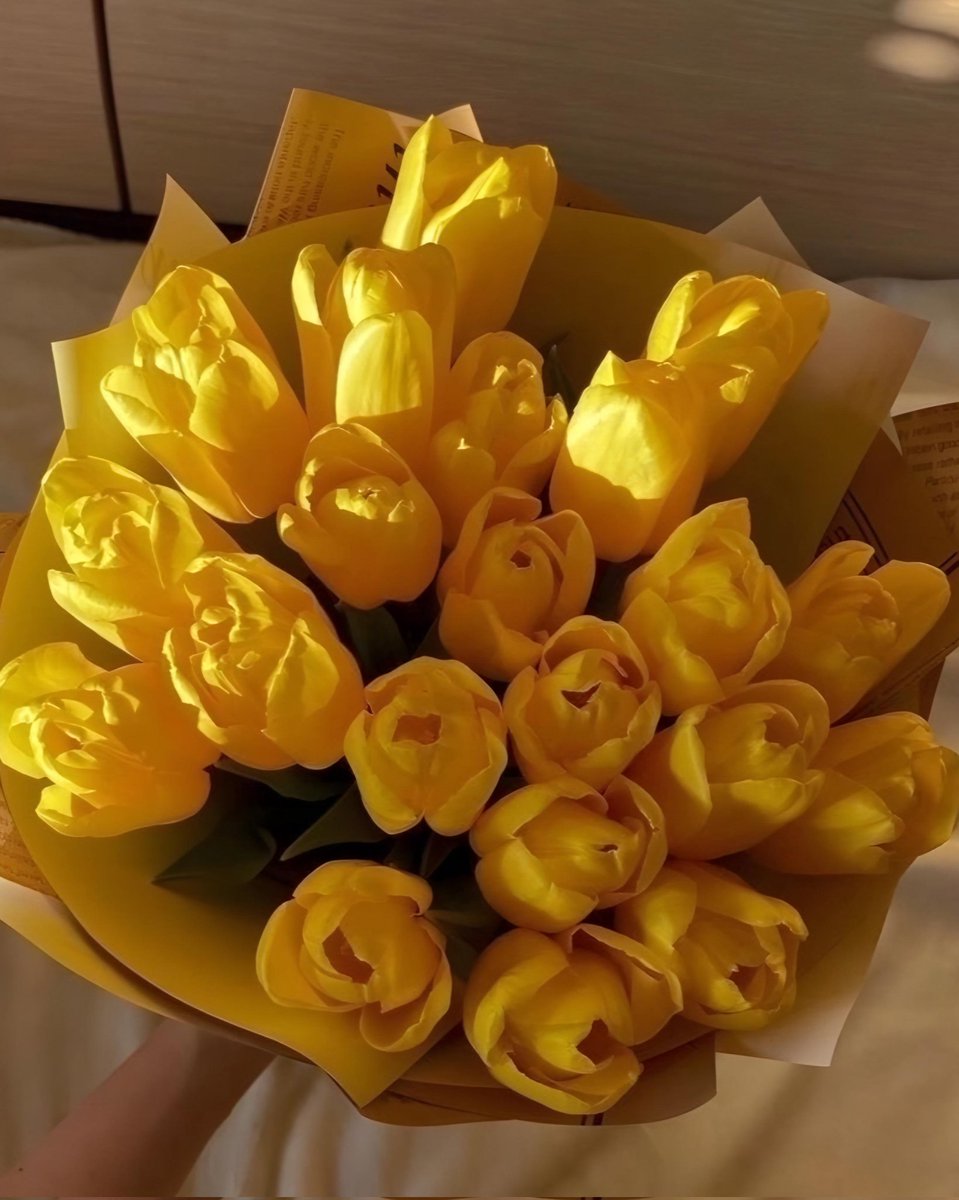 Exulansista's tweet photo. yellow tulips or sunflowers? https://t.co/z0MQDYOQvK