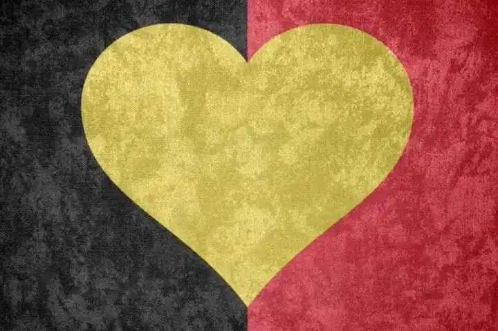PsfAssociation's tweet photo. #Bruxelles #Belgique #Belgica #Peace #Paix 🖤💛❤️ https://t.co/jII4NyUGEe