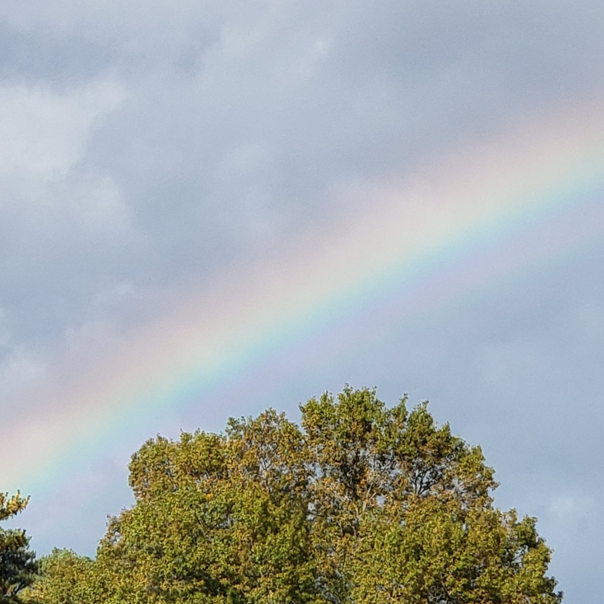 Epic Crescendo tweet media