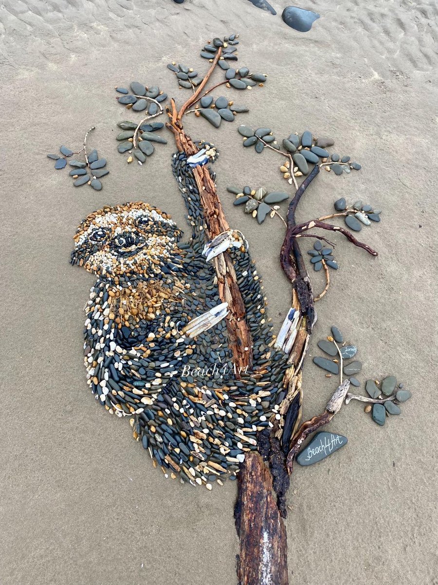More amazing work from Beach4Art this sloth Made at Sandymere beach today