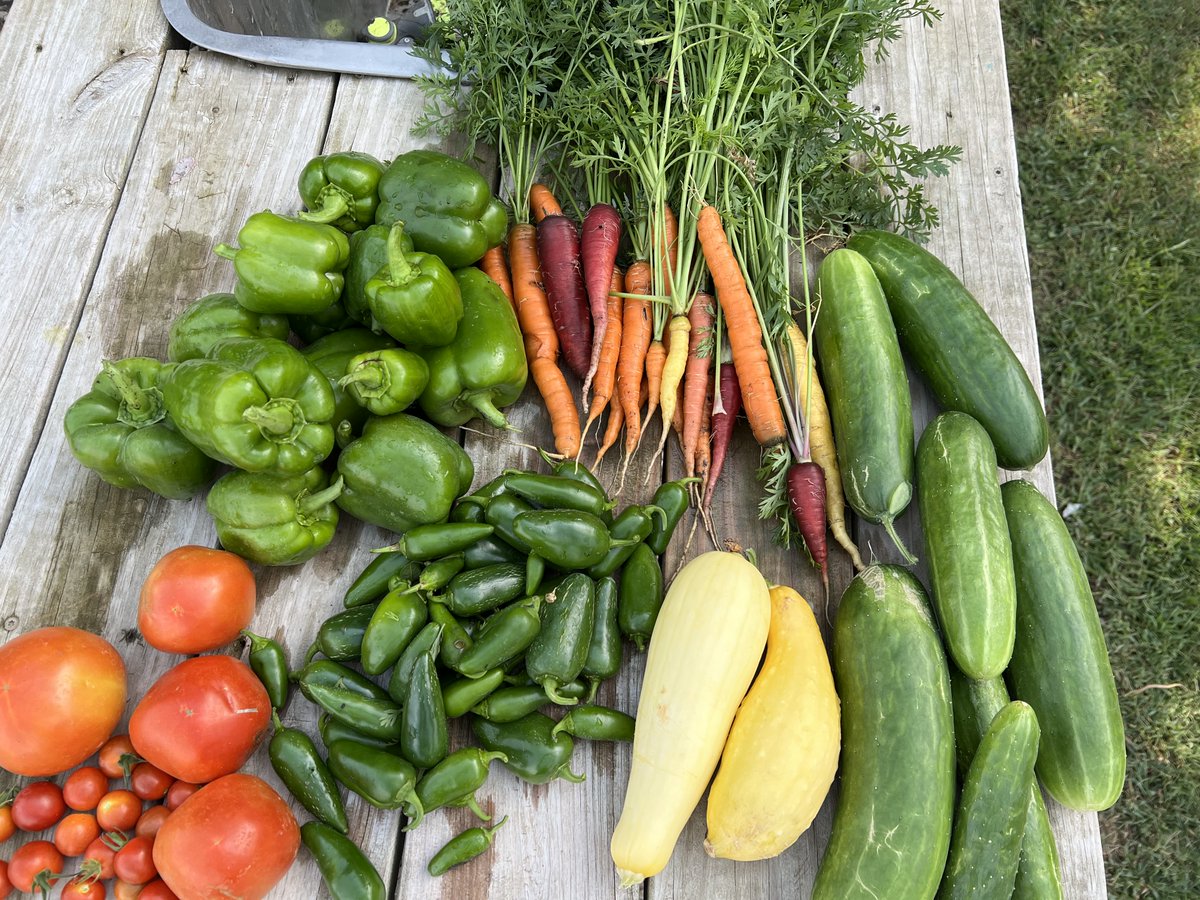 Exciting Fall Update from the Morningside Garden! As the leaves change and the air turns crisp, Morningside Garden is bustling with autumn activity! Here's a glimpse of what's keeping us busy this fall.