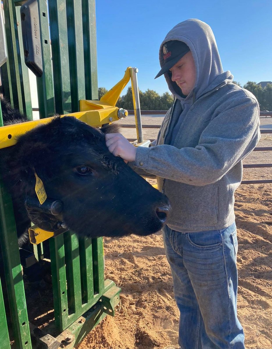 Arrowquip's tweet photo. Cattle handling is quick, quiet, and top-quality in a Q-Catch!
β‘ Multiple safe access points
β‘ Control head gate and tail gate from one spot
Get yours today: https://t.co/YFwSw1jwZW
#qcatch #arrowquip #cattlechute #beef #ranching #farmlife #ranchlife https://t.co/1gcV1lLzYV