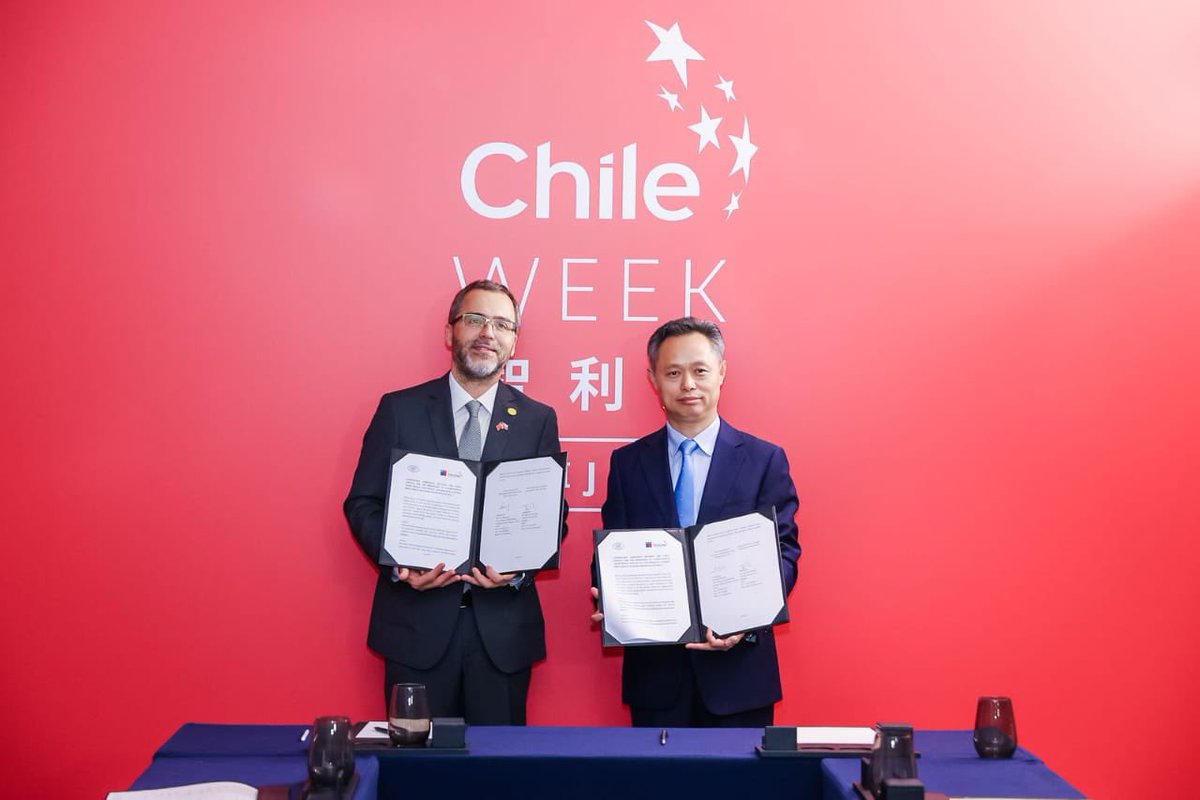 ProChile tweet media