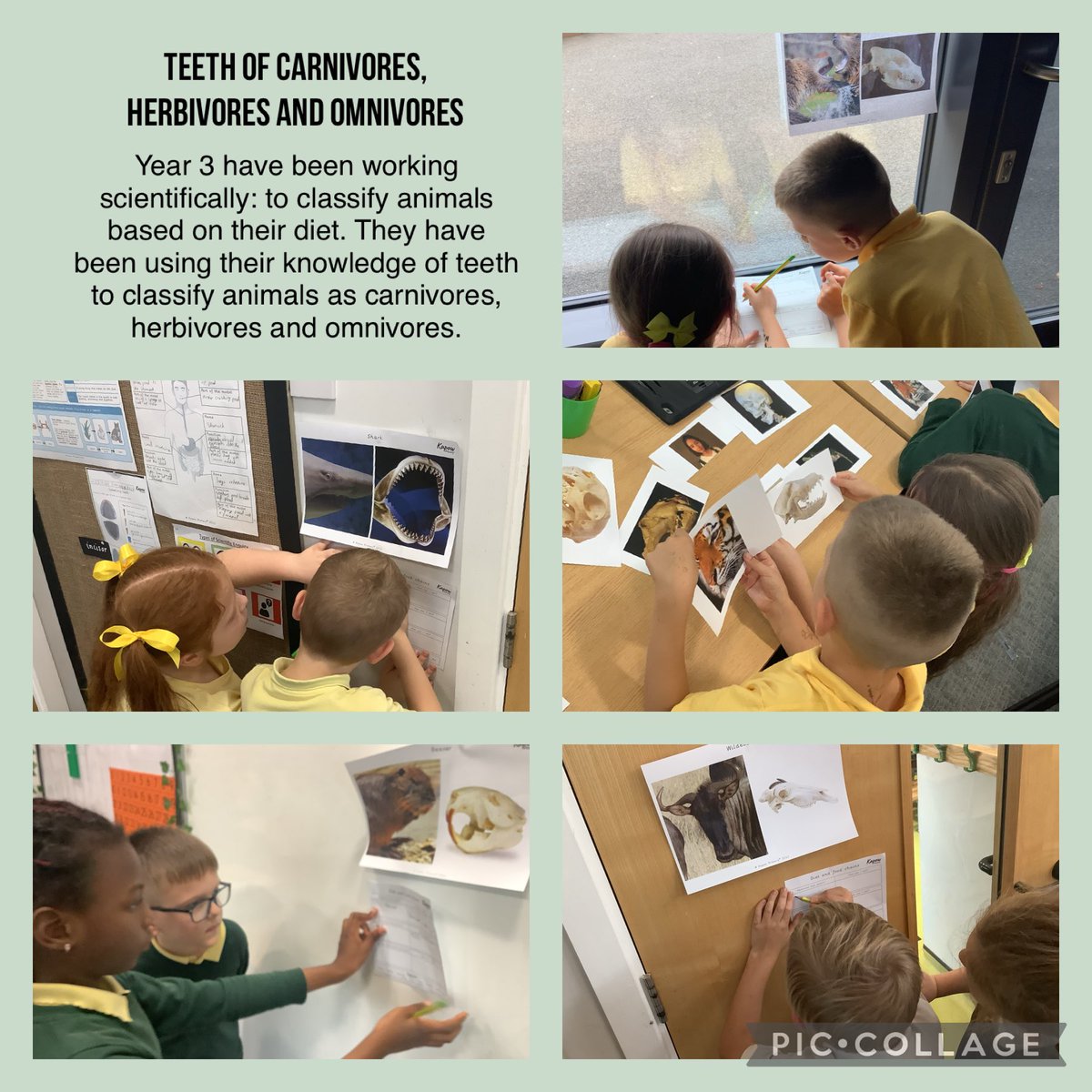 #HardwickgreenPA #Hardwickscience #animalsincludinghumans