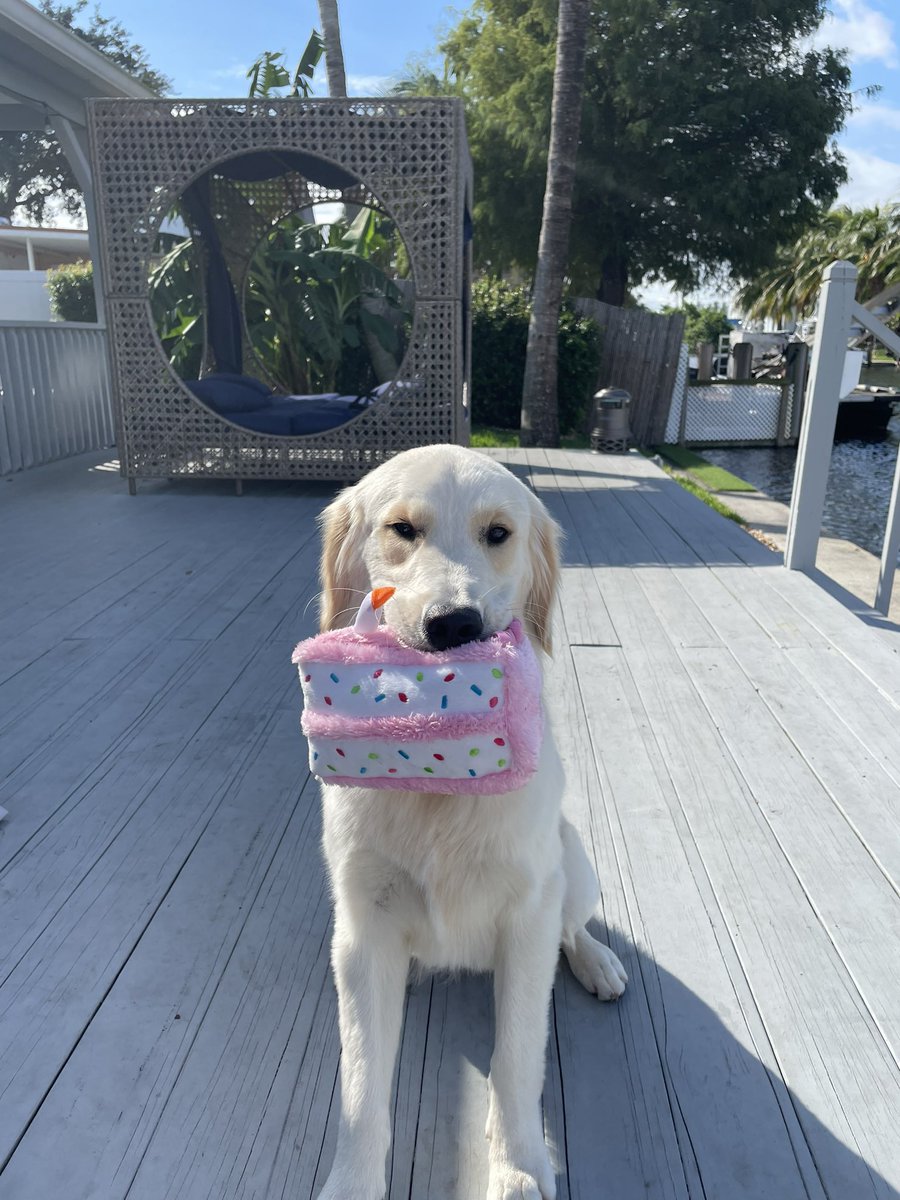 Hampton turned 1!!! 🎉🎂🎁