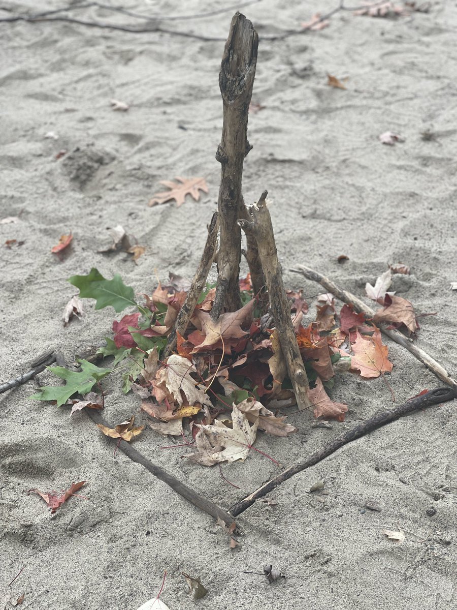 Adriana Porcari tweet media