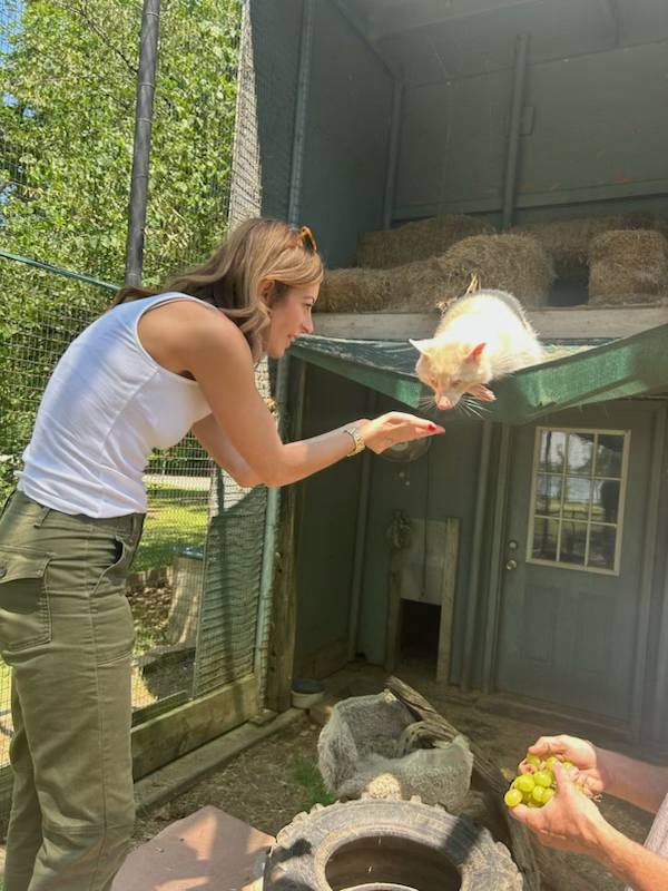 TravelOK.com tweet media