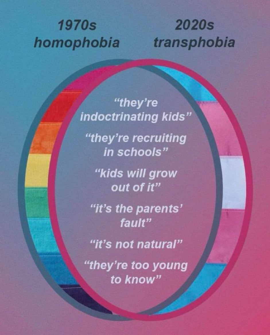 Transphobes posting Ls & trans memes (@transphobicls) on Twitter photo 