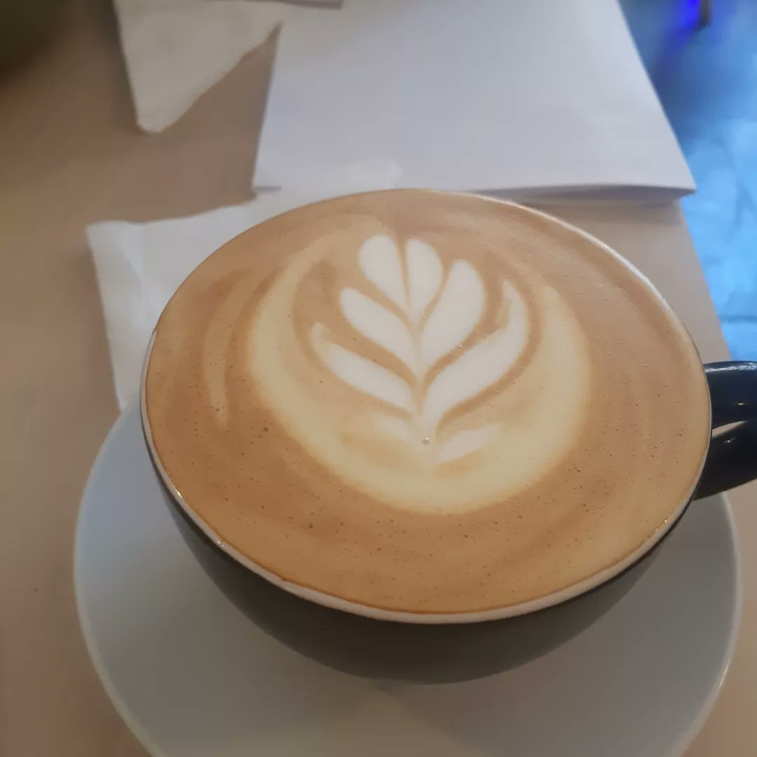 Shiroex8's tweet photo. Esta última semana lo he pasado muy bien he salido pasear, comer y comprar mi manga he por fin he aprendido lo importante del dinero https://t.co/uwATyEjFzm