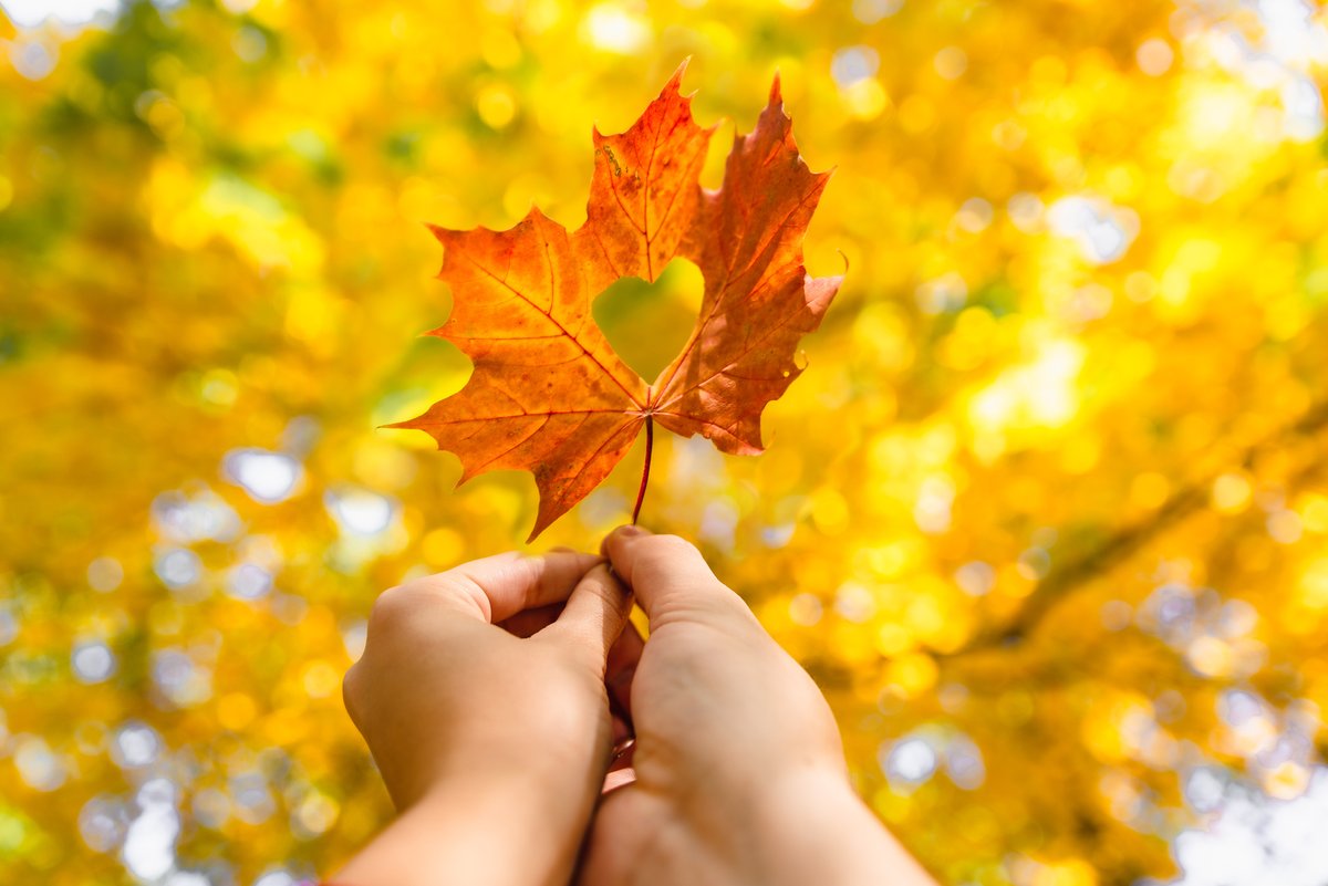On Child Care Worker and Early Childhood Educator Appreciation Day, we extend our heartfelt gratitude to the dedicated professionals who create safe and nurturing environments for our youngest learners every day.