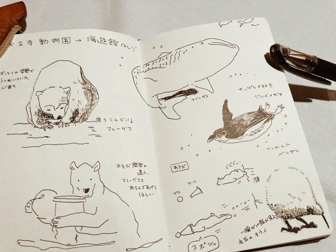 天王寺動物園→海遊館はしご楽しかった。目当てはキウイとジンベイザメだったけど全部よかった。
