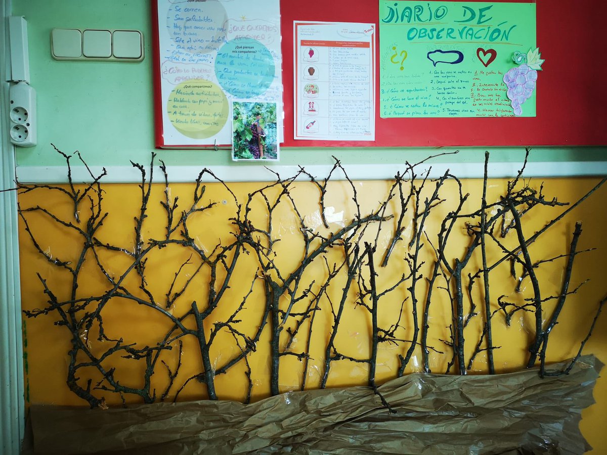 Colegiosrafael's tweet photo. 👉 Seguimos trabajando en nuestro proyecto #PisandoUvas 
Hemos salido al patio en busca de hojas 🍃 para construir nuestra parra 😃! 
#AprenderJugando #AprenderConstruyendo #AprenderCreando
#SomosTuEscuela #EducacionInfantil #3EI https://t.co/GvEykjyUxr