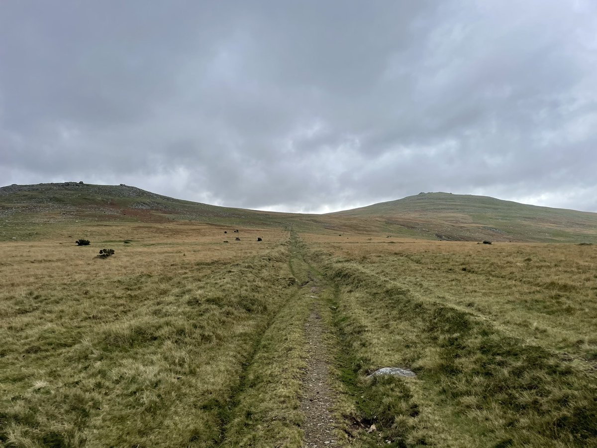 BritainsHigh's tweet photo. 42/47 High Willhays, Devon, 621m with @bullseyebanks, @dannycleaton &amp; Sean. #Dartmoor #Devon #wind https://t.co/ArjOkEAeHs