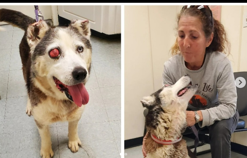 Maple 🐕 🎹 🎸 💙 tweet media