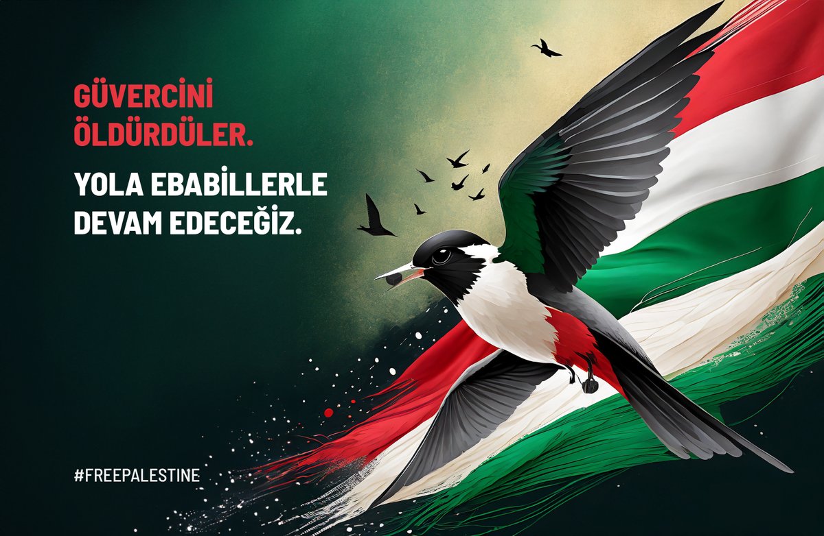 seyfullahbyrm's tweet photo. #ZionistTerror https://t.co/LK9KlQ7NOQ